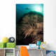 Massive Black Coral Colony Wall Decal