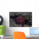 Coconut Octopus Crawls across Wall Decal