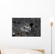 Lizardfish Lays Sand Komodo Wall Decal