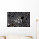 Lizardfish Lays Sand Komodo Wall Decal