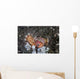 Anemone Hermit Crab Crawls Wall Decal