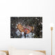 Anemone Hermit Crab Crawls Wall Decal