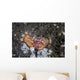 Anemone Hermit Crab Crawls Wall Decal