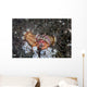 Anemone Hermit Crab Crawls Wall Decal