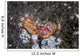 Anemone Hermit Crab Crawls Wall Decal