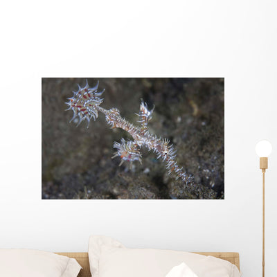 Ornate Ghost Pipefish Komodo Wall Decal shown on a wall