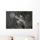 Ornate Ghost Pipefish Komodo Wall Decal