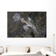 Ornate Ghost Pipefish Komodo Wall Decal