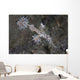 Ornate Ghost Pipefish Komodo Wall Decal