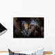 Close-up Decorator Crab Covered Wall Decal