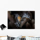 Close-up Decorator Crab Covered Wall Decal