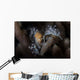 Close-up Decorator Crab Covered Wall Decal