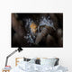 Close-up Decorator Crab Covered Wall Decal