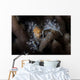 Close-up Decorator Crab Covered Wall Decal