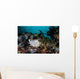 Giant Frogfish Blends into Wall Decal Design 2