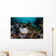 Giant Frogfish Blends into Wall Decal Design 2