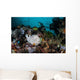 Giant Frogfish Blends into Wall Decal Design 2