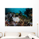 Giant Frogfish Blends into Wall Decal Design 2