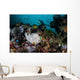 Giant Frogfish Blends into Wall Decal Design 2