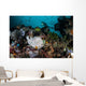 Giant Frogfish Blends into Wall Decal Design 2