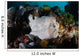 Giant Frogfish Blends into Wall Decal Design 1
