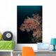 Vibrant Soft Corals Thrive Wall Decal Design 7