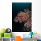 Vibrant Soft Corals Thrive Wall Decal Design 7