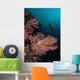 Vibrant Soft Corals Thrive Wall Decal Design 6