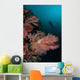Vibrant Soft Corals Thrive Wall Decal Design 6