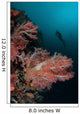 Vibrant Soft Corals Thrive Wall Decal Design 6