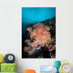 Vibrant Soft Corals Thrive Wall Decal Design 5