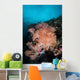 Vibrant Soft Corals Thrive Wall Decal Design 5