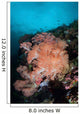 Vibrant Soft Corals Thrive Wall Decal Design 5