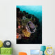 Colorful Crinoids and Sponges Wall Decal