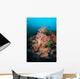 Vibrant Soft Corals Thrive Wall Decal Design 4