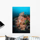 Vibrant Soft Corals Thrive Wall Decal Design 4