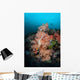 Vibrant Soft Corals Thrive Wall Decal Design 4