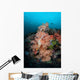 Vibrant Soft Corals Thrive Wall Decal Design 4