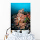 Vibrant Soft Corals Thrive Wall Decal Design 4