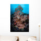 Vibrant Soft Corals Thrive Wall Decal Design 3