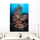 Vibrant Soft Corals Thrive Wall Decal Design 3