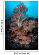 Vibrant Soft Corals Thrive Wall Decal Design 3