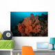 Vibrant Soft Corals Thrive Wall Decal Design 2