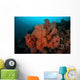 Vibrant Soft Corals Thrive Wall Decal Design 2