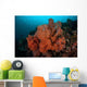 Vibrant Soft Corals Thrive Wall Decal Design 2