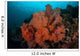 Vibrant Soft Corals Thrive Wall Decal Design 2