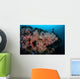 Vibrant Soft Corals Thrive Wall Decal Design 1