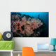 Vibrant Soft Corals Thrive Wall Decal Design 1