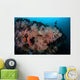 Vibrant Soft Corals Thrive Wall Decal Design 1