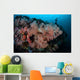 Vibrant Soft Corals Thrive Wall Decal Design 1